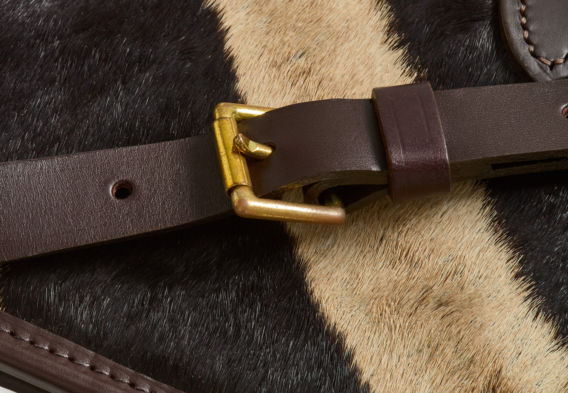 rt_ZEBRA_GUN_CASE_DETAIL